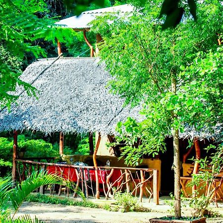 Relax Nature Villa Sigirîya Extérieur photo