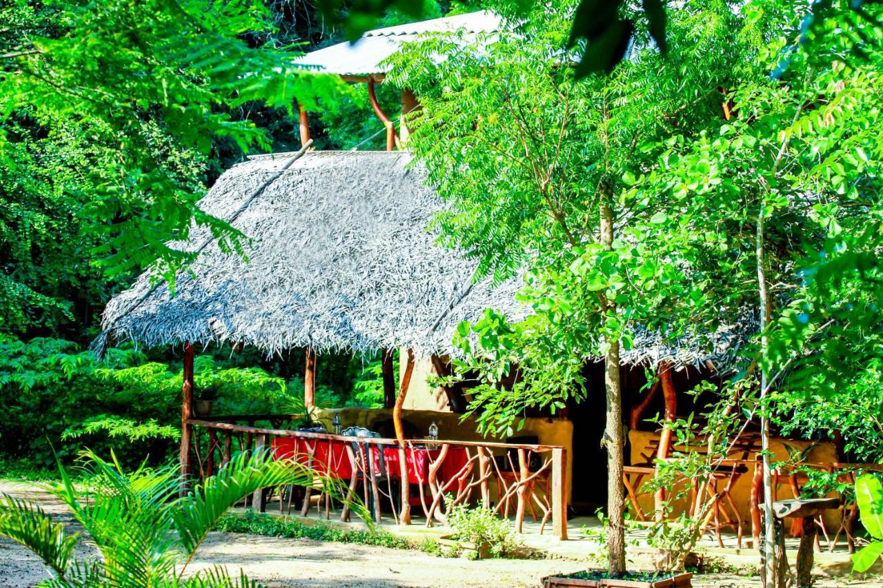 Relax Nature Villa Sigirîya Extérieur photo