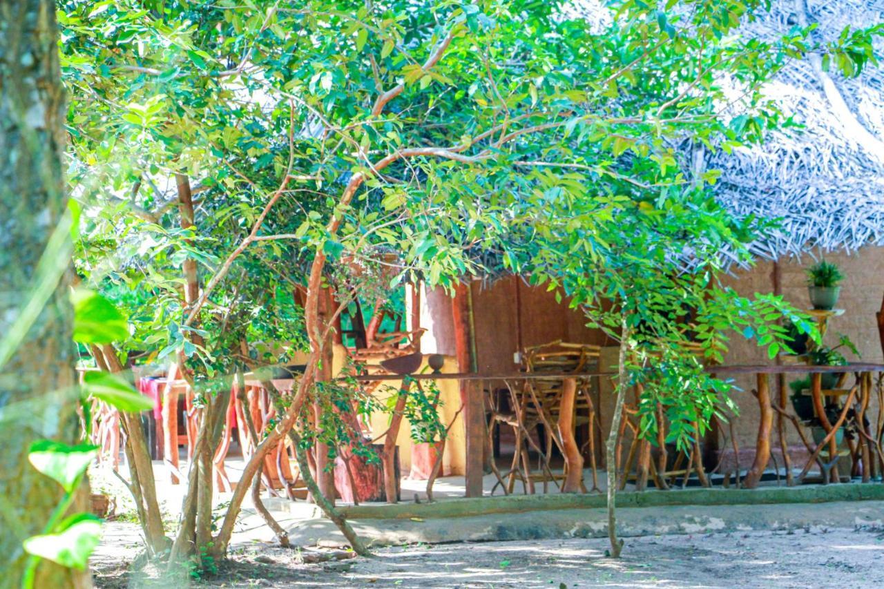 Relax Nature Villa Sigirîya Extérieur photo